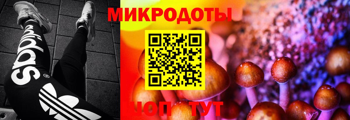 Псилоцибиновые грибы мицелий Полевской
